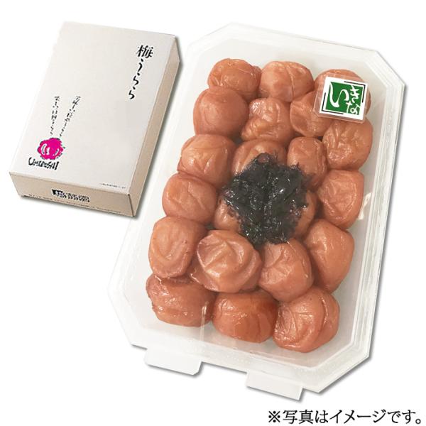  Ђ ~ ~  WpbN400g 8 ~ Mtg Ε  j  IB썂~ ~ ΂