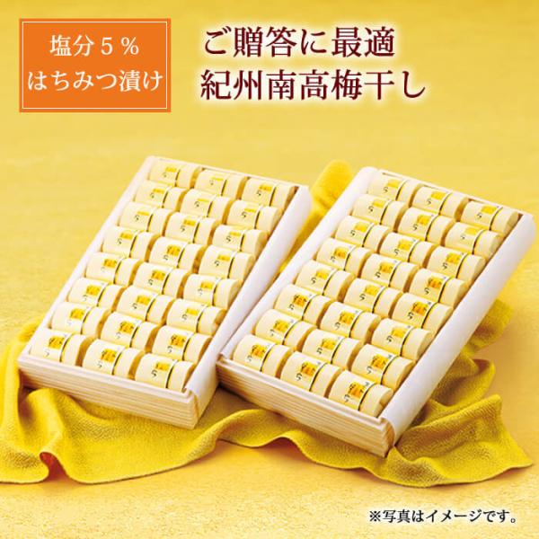   ~ Mtg  XC[g݂͂ 48 ؔ ݂͂~  j  Ε IB 썂~