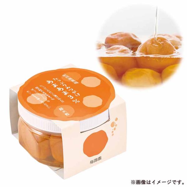 梅干し はちみつ梅 たっぷりみつがけ あまあま3％ 230g 梅翁園 ばいおうえん