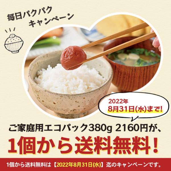 フルーツ梅干し ご家庭用エコパック はちみつレモン梅360g 塩分5 レモン風味 はちみつ梅 紀州南高梅 梅翁園 ばいおうえん Buyee Buyee Japanese Proxy Service Buy From Japan Bot Online
