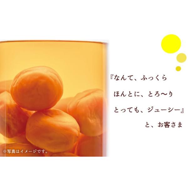 梅干し はちみつ梅 たっぷりみつがけ スイート レモン 梅翁園 ばいおうえん Buyee Buyee Japanese Proxy Service Buy From Japan Bot Online