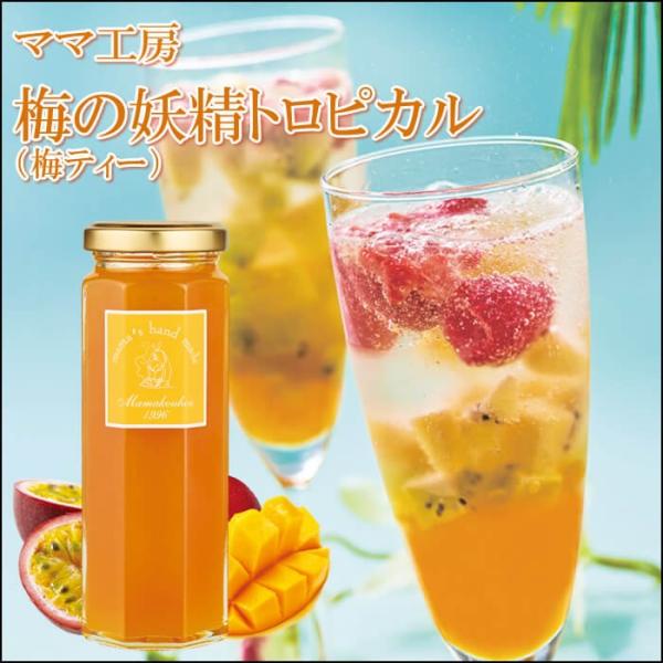 梅ジャム 梅の妖精トロピカル160g 梅ティー 南高梅 フルーツソース 手作り