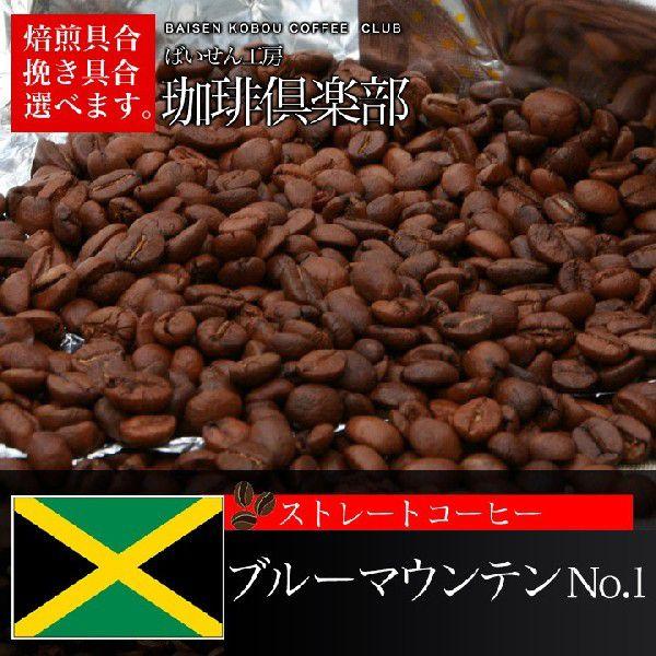コーヒー豆 ブルーマウンテン 100gの人気商品・通販・価格比較 コーヒー豆 ブルーマウンテン 100gの人気商品・通販・価格比較