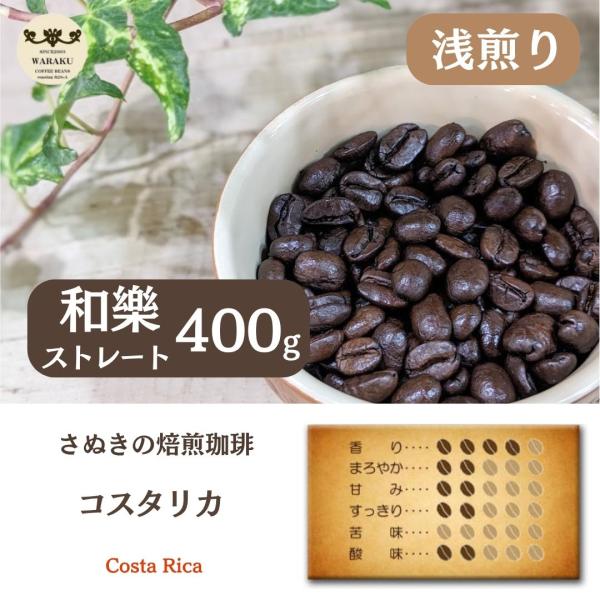 コーヒー豆 コスタリカ 400g 浅煎り ドリップコーヒー コーヒー アイスコーヒー お試しセット  レギュラーコーヒー コーヒー粉 珈琲豆 コスタリカ400g
