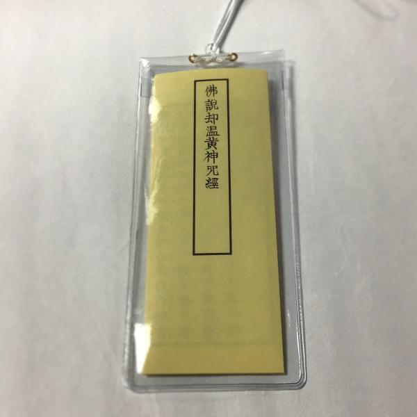 baiyo_m05420