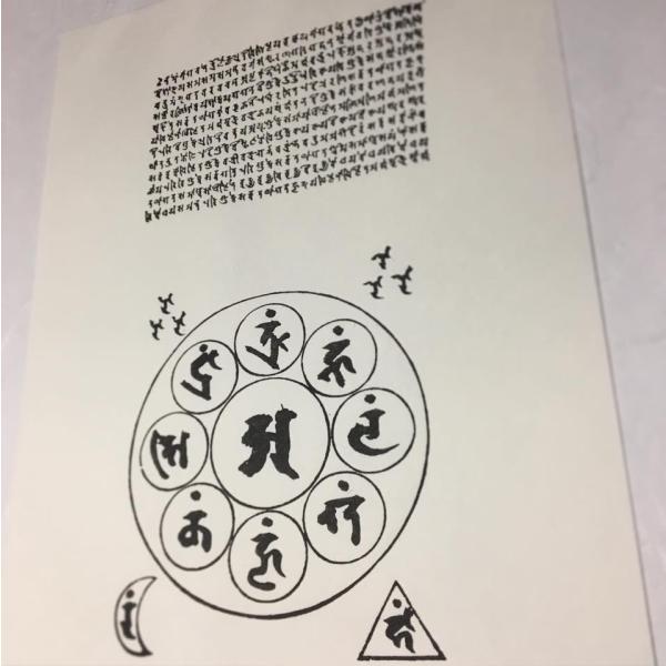 baiyo_z05230 baiyo_z05230