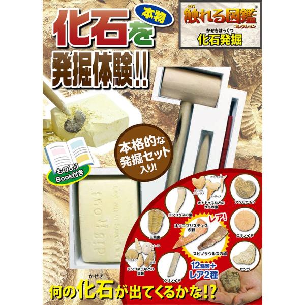 本物の化石を掘り出そう!「化石発掘」です!子供の頃に憧れた恐竜や化石を発掘!なんの化石が出てくるかわからないドキドキ感を楽しめるキットです。本格的な発掘キットと、出てきた化石をコレクションできるので、所有欲を十分に満たしてくれます!自分で発...