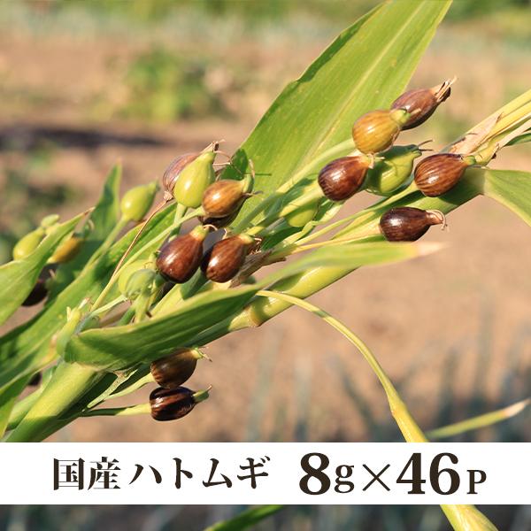 内容量：368ｇ（８ｇ×46Ｐ相当）※保存に便利なチャック付き袋※当商品は数量管理ではなく、重量で管理しています。　そのため、46Ｐはあくまでも目安数となります。原材料：ハトムギ原産地：国産賞味期限：製造日より２年製造元：株式会社丸菱　岡山...