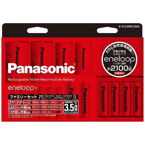 エネループ パナソニック Panasonic 国内・海外兼用 ファミリーセット