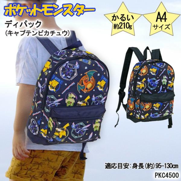 bakuyasuearth_pkc4500