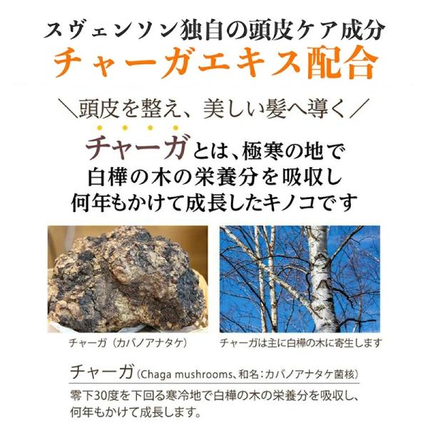 bakuyasuearth_refineheadspa_5_d_20241221153946