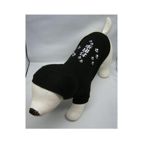 l܂  ̗m@SEMELEXLTCY@XIWi@t[ht@US@@