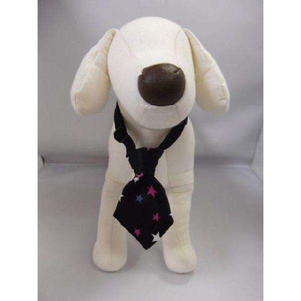 ̃lN^C@TCY߉\@STCY