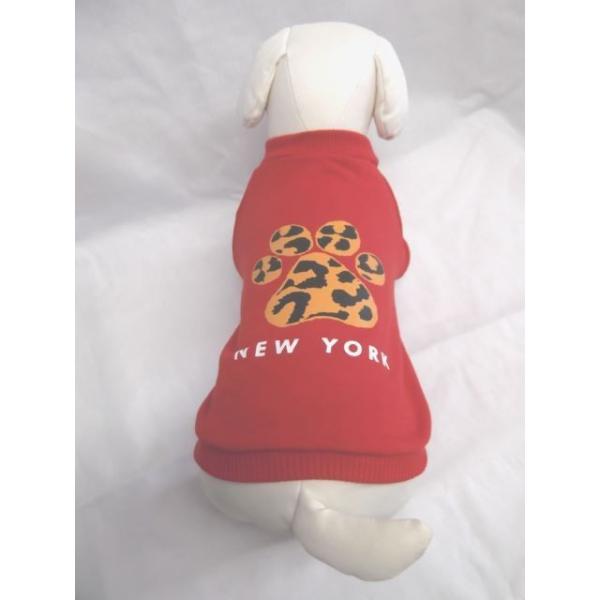 ̗m  SEMELEXLTCY@@sVc@ԐF@