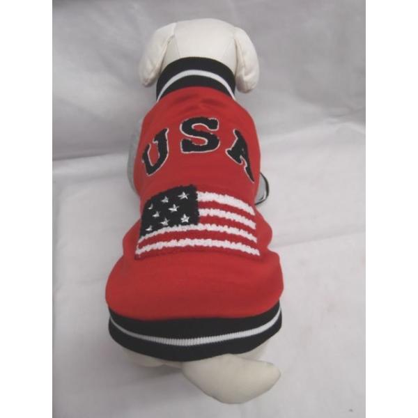 l܂  ̗m@SEMELEXLTCY@X^WAWp[@tr`