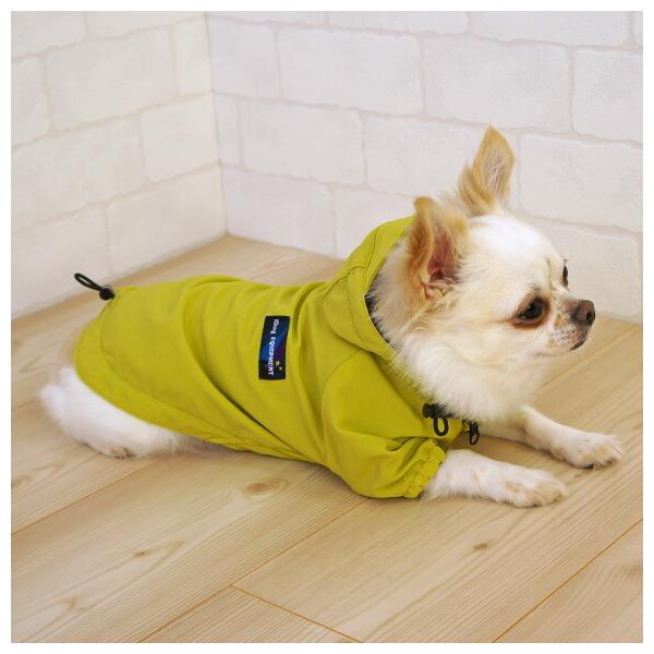 ̗m@rElEkEwkEXXLTCY @CR[g@CF@