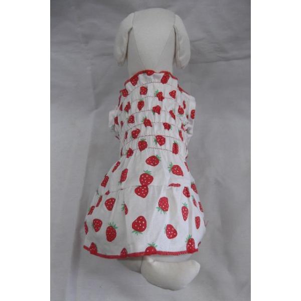 ̗m@SEMELEXLTCY@s[X@hX@sNFC`S@̎q