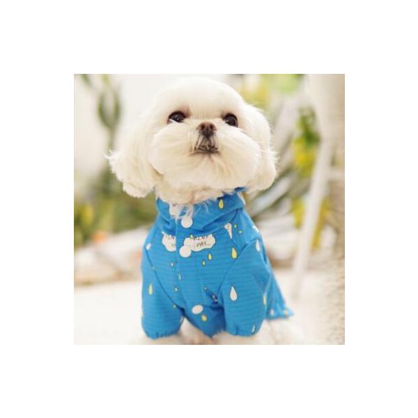 ̗m@rElEkEwkEXXLTCY @CR-g@В܂@u[@