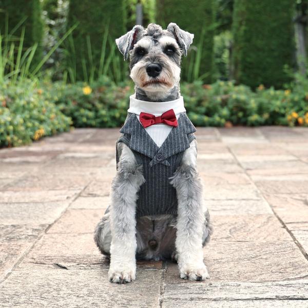 犬の洋服 S・M・L・XL・XXLサイズ タキシード チャコールグレー色