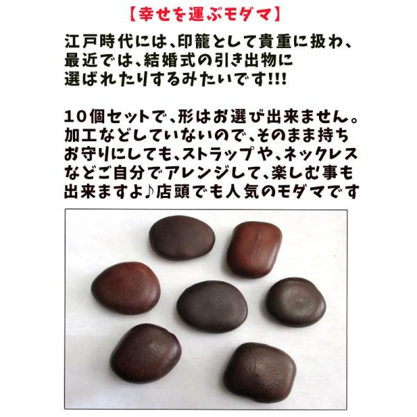 ラッキービーンズ モダマの豆１０個セット モダマ 世界一大きい豆 もだま 藻玉 幸運のお守り 縁結び 子宝 Buyee Buyee 日本の通販商品 オークションの代理入札 代理購入