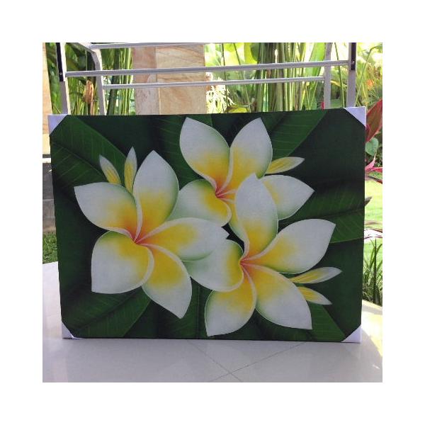 oA[g80x60 ,oG,vA,G,][g,T,썑,oG