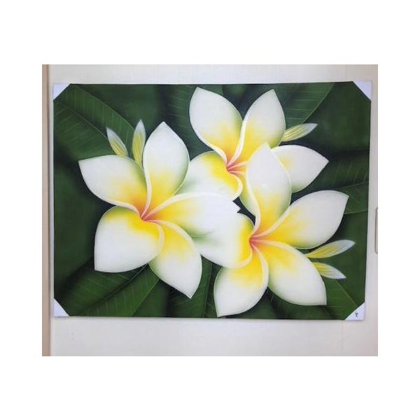 プルメリア 木 絵画の人気商品 通販 価格比較 価格 Com