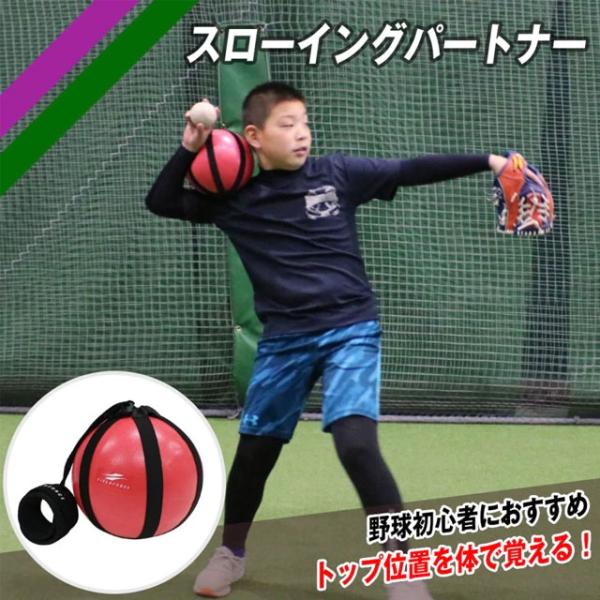 NEW スローイングパートナー ポンプ付属 フィールドフォース 野球 投球練習 ピッチング練習 フォーム矯正 自主練習 トレーニングボール FSLP-18P