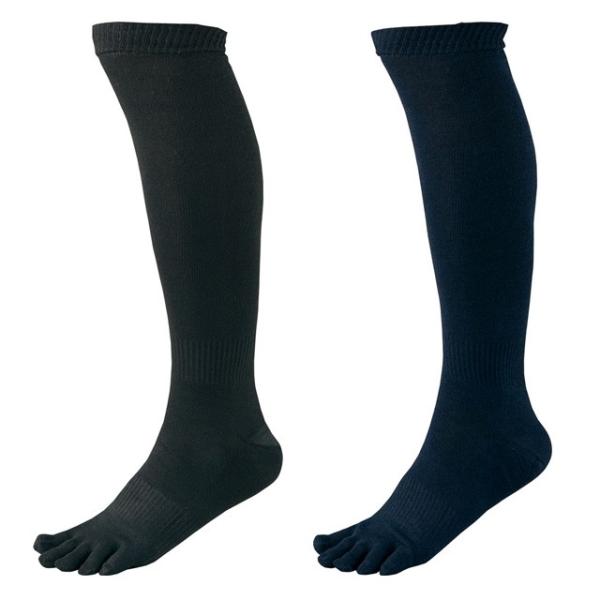 ydss/[bg 싅 5{w 3P\bNX 3g\bNX A_[\bNX O^Cv nC\bNX O\bNX C  BK035CL