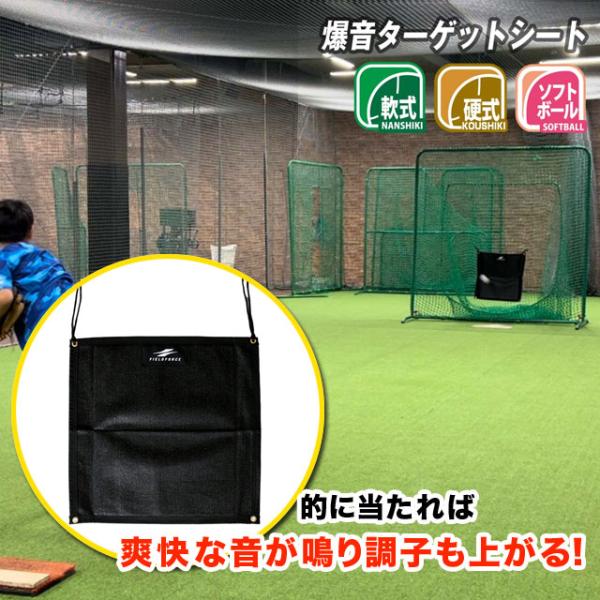 FIELD FORCE（フィールドフォース） 爆音ターゲットシート ピッチング