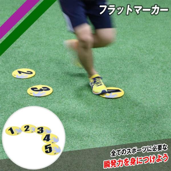 特徴：全てのスポーツに必要な瞬発力を身に着けよう！　すべてのチームスポーツのトレーニングに！屋内・屋外どちらでも使用可能です。専用袋付で、収納・設置が簡単にできます。　柔軟性に富んでおり、踏みつけても割れません。サイドステップ等のトレーニン...