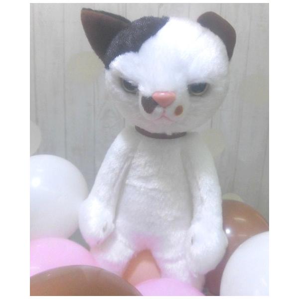 誕生日プレゼント ネコ スクラッチキャットたまごバルーン ねこ 猫 電報 結婚式 ぬいぐるみ 送別会 プレゼント 卒業記念品 Buyee Buyee 日本の通販商品 オークションの代理入札 代理購入