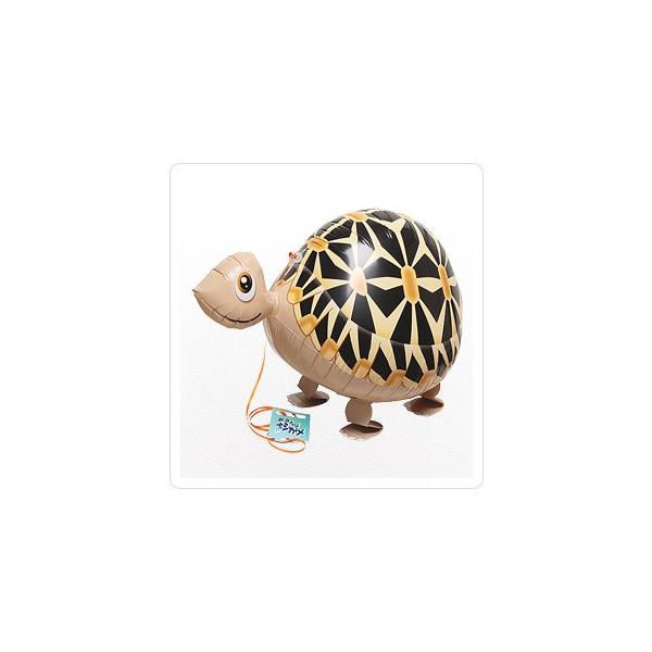 UzVKwEKX1D/tBD/Uo[