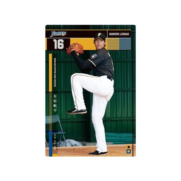 元日本ハムファイターズ有原投手実使用スパイク