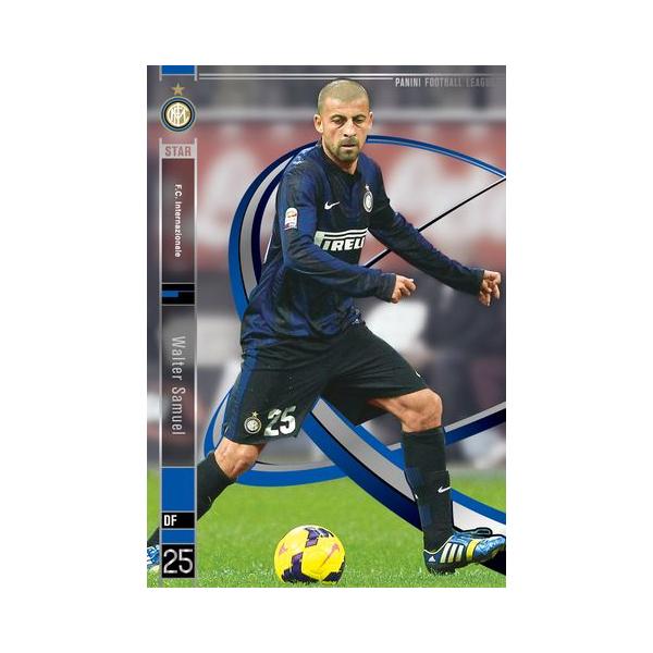 パニーニフットボールリーグ PFL07 スター ST ワルテル・サムエル