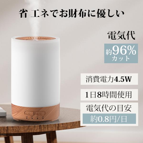 bambi2017-y_t33_6_d_20251225151647