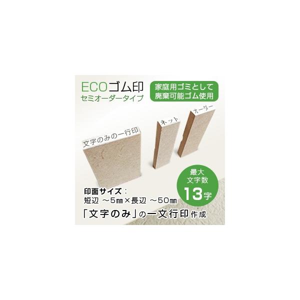 ECOS@Z~I[_[^CvFPsiSj^ʃTCYFZӁ`5mm×Ӂ`50mm^ő啶F13^1TCYF3`5mm i S