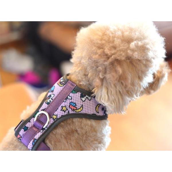 犬 ハーネス リード 2点セット 安い ペット 中型犬 小型犬 おしゃれ メッシュ素材 送料無料 Buyee Buyee Japanese Proxy Service Buy From Japan Bot Online