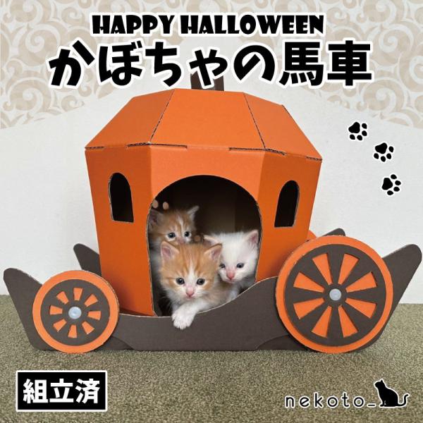 アルバムクラフト かぼちゃの馬車 魔女 ホーンテッドハウス かぼちゃの馬車 ハロウィン アレンジメント 魔女 アーティ