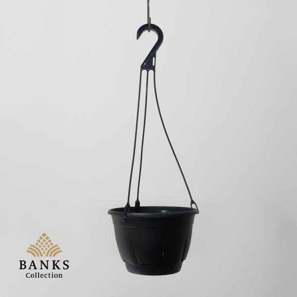 bankscollection_039-single