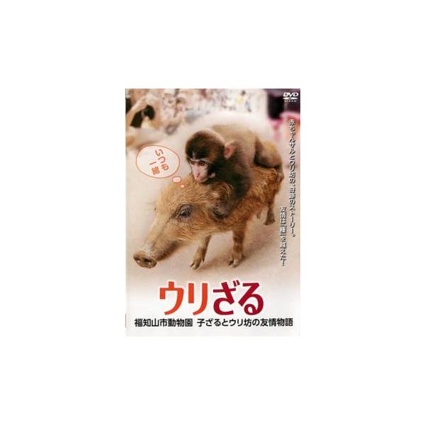 【バーゲン】 (出演) 阿部真理奈、的場優 (ジャンル) 邦画 ドキュメンタリー 動物 (入荷日) 2023-11-14