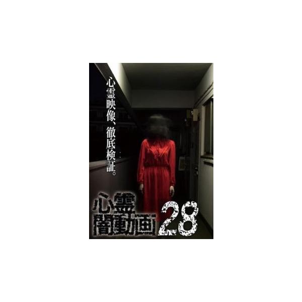心霊闇動画 28 レンタル落ち 中古 DVD  ホラー
