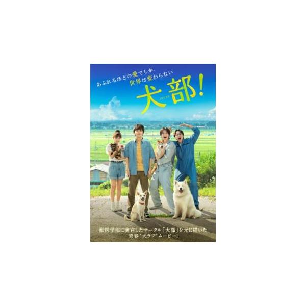 (監督) 篠原哲雄 (出演) 林遣都(花井颯太)、中川大志(柴崎涼介)、大原櫻子(佐備川よしみ)、浅香航大(秋田智彦)、田辺桃子(川瀬美香)、安藤玉恵(深沢さと子)、しゅはまはるみ(中越真利子)、坂東龍汰(田原優作)、田中麗奈(門脇光子) ...