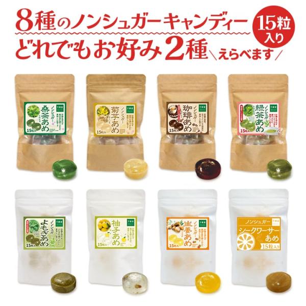 シュガーレス ９種の中からお好みで2種選べます 飴 15粒入 キャンディー お菓子 ノンシュガーのど飴