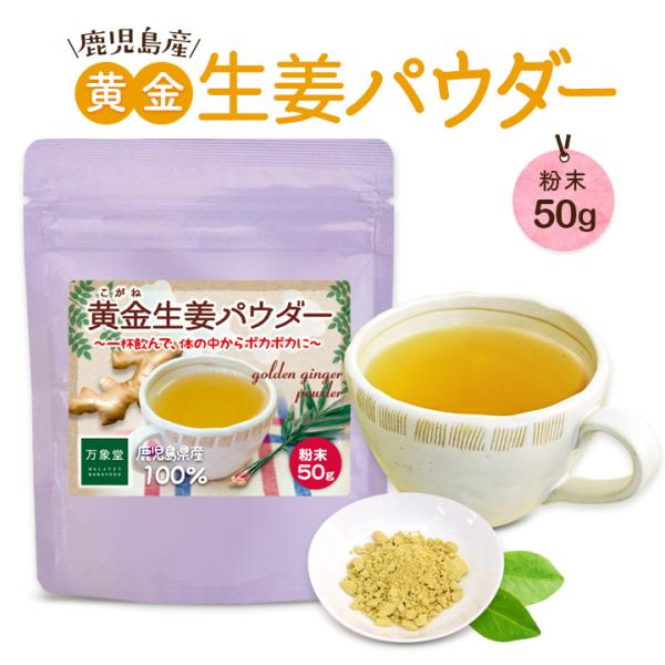 生姜パウダー 鹿児島県産 50ｇ 粉末 保温 しょうが