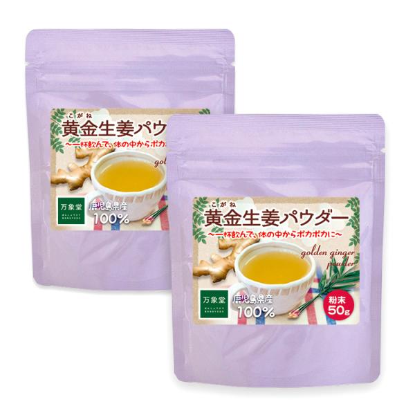 生姜パウダー 鹿児島県産 50ｇ×2袋 粉末 保温 しょうが