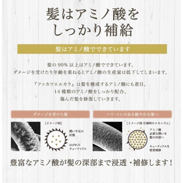 エルカラ エルカラクトン ｆｕｋｋａｔｓｕ フッカツ 縮毛矯正級 くせ毛 熱に反応 トリートメント つや髪 さらさら Buyee Buyee Japanese Proxy Service Buy From Japan Bot Online