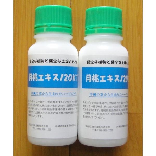 月桃エキス120ＫＴ　100ミリリットル２本組　　花、ガーデニング用品