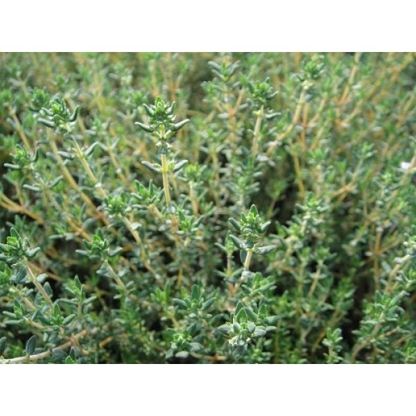 n[uc@R^Ca18.0cmc@ʓr