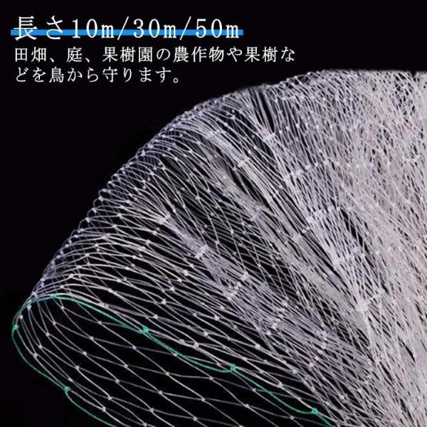 長さ10m/30m/50m 防鳥ネット 防蝶ネット 防鳥網 防蝶網 果樹栽培 鳥害対策 菜園用 防蛾鳥よけネット 果樹用 直がけ防鳥網 鳩よけ ベラン