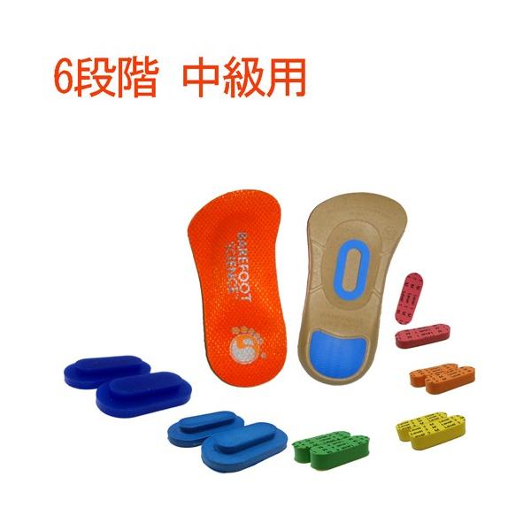 d ؖ nCA[` G A[`T|[g C\[ ~ BAREFOOT SCIENCE 6iK3/4^Cv